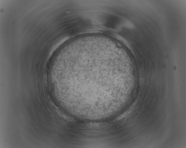 X0000073450827200608251703