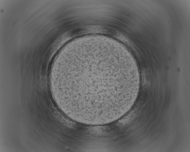 X0000073450828200608251703