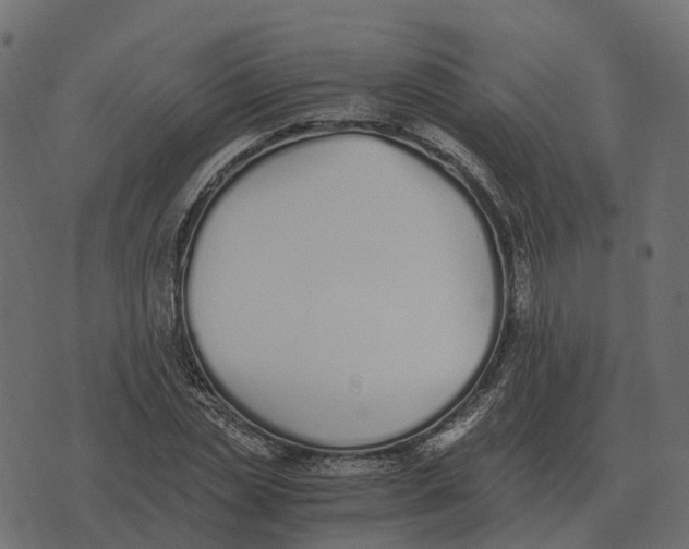 X0000073450829200608251703