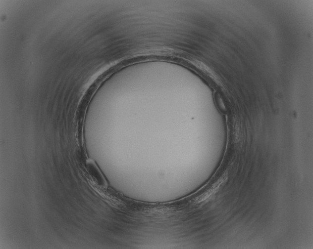 X0000073450830200608251704