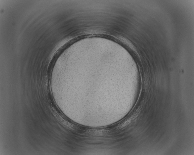 X0000073450831200608251704