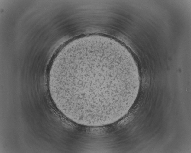 X0000073450832200608251704