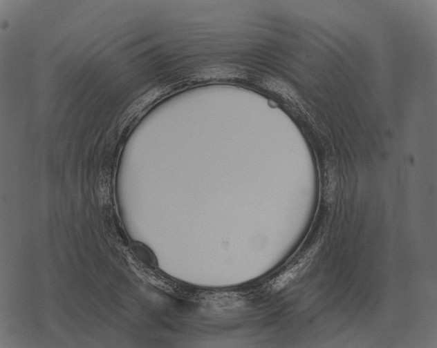 X0000073450833200608251704