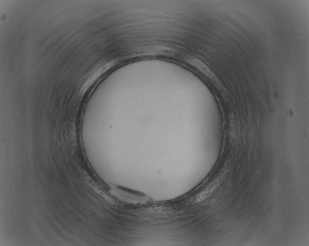 X0000073450834200608251704