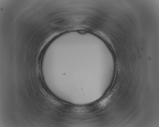 X0000073450835200608251704