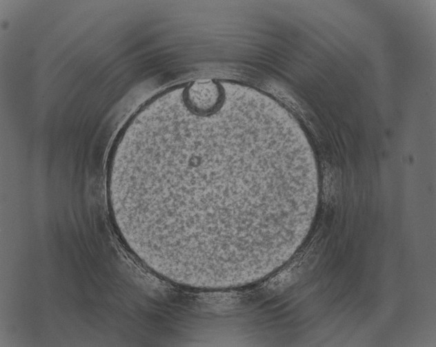 X0000073450836200608251704