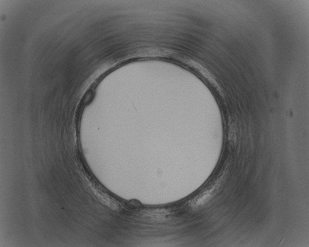 X0000073450837200608251704