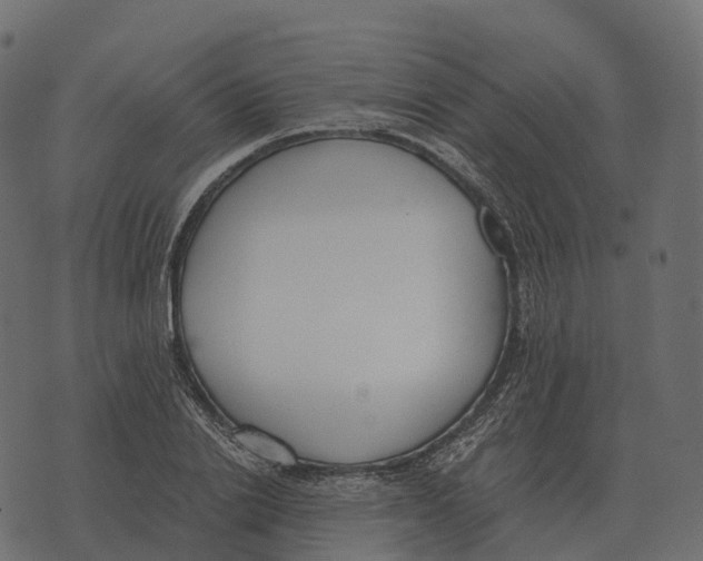 X0000073450838200608251704