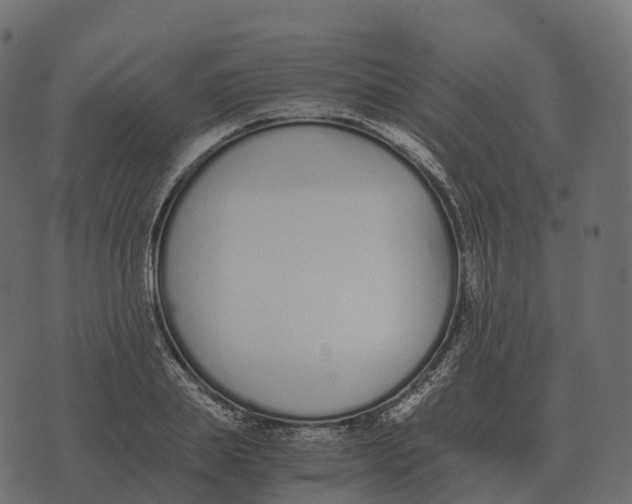 X0000073450839200608251704