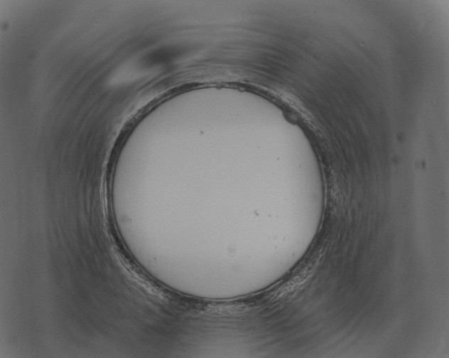 X0000073450840200608251704