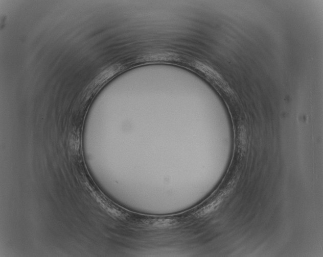 X0000073450841200608251704