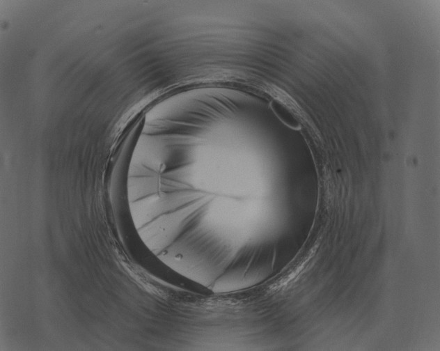 X0000073450842200608251704