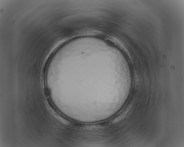 X0000073450843200608251704