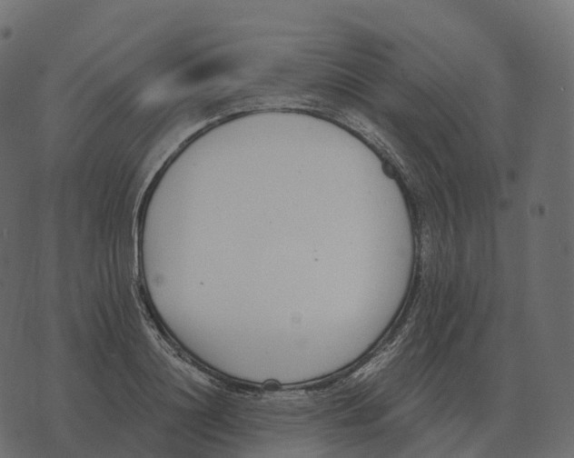 X0000073450844200608251704