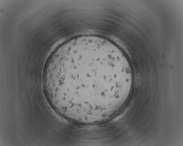 X0000073450845200608251704