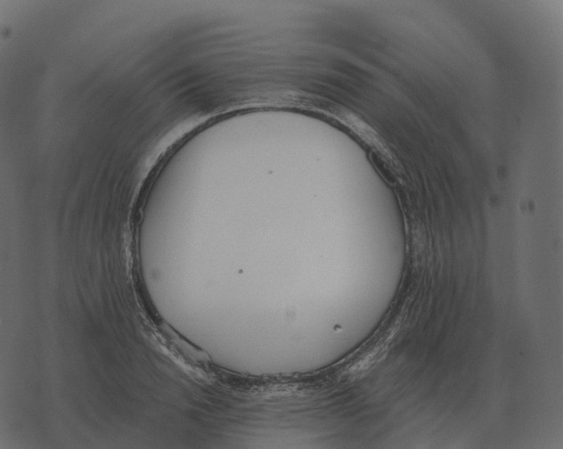 X0000073450846200608251704