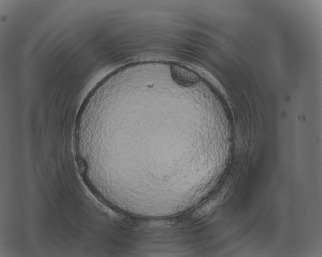 X0000073450847200608251704