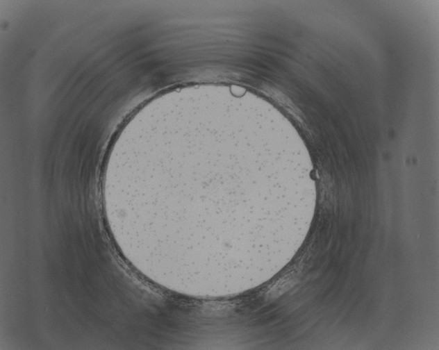 X0000073450848200608251704