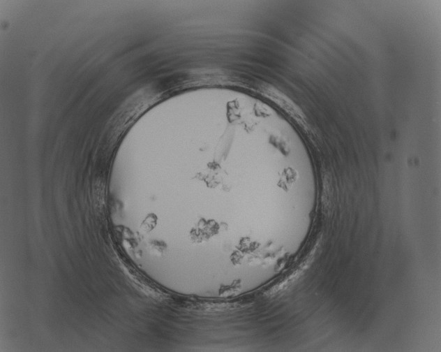 X0000073450849200608251704