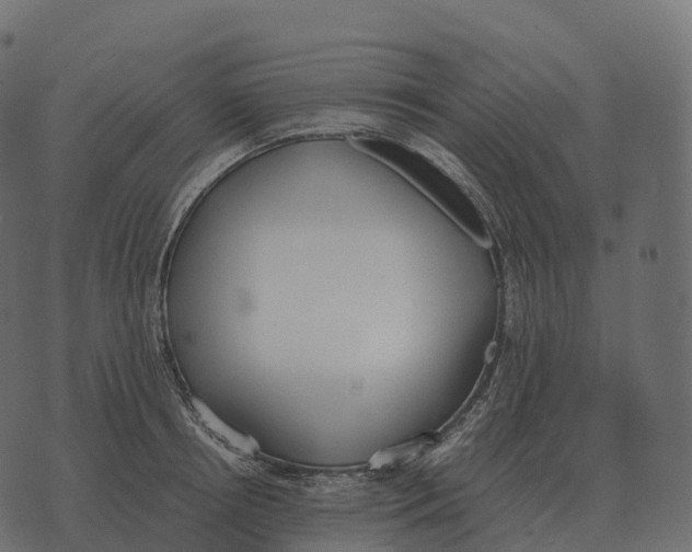 X0000073450850200608251704