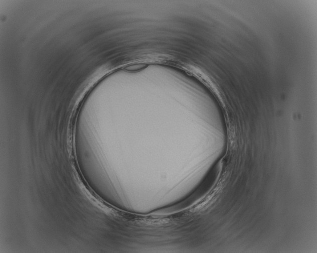 X0000073450851200608251704