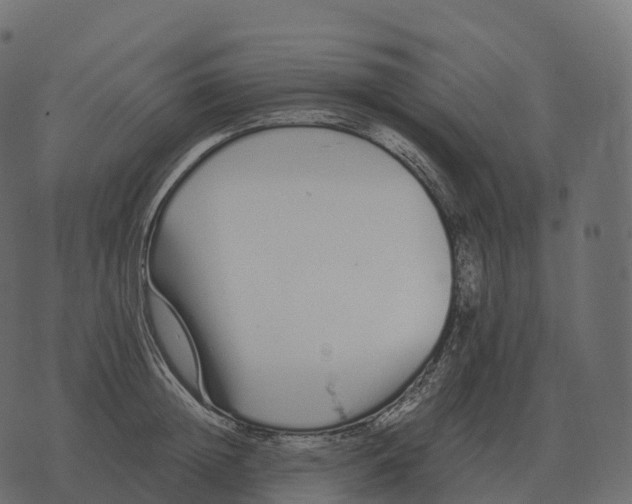 X0000073450852200608251704