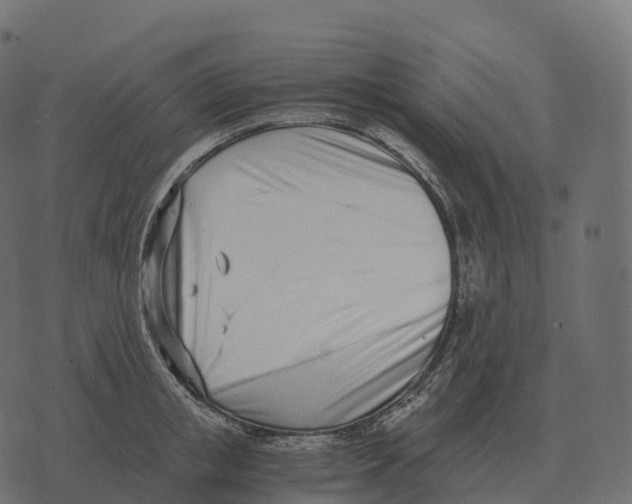 X0000073450853200608251704