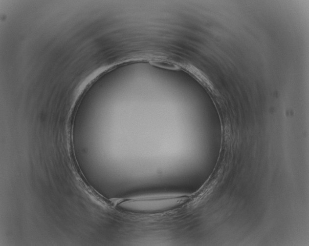 X0000073450854200608251704