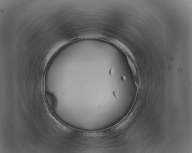 X0000073450855200608251704