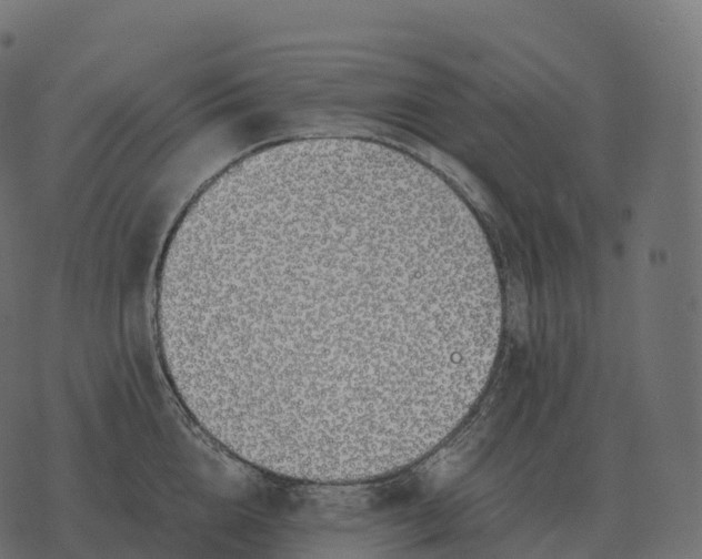 X0000073450856200608251704