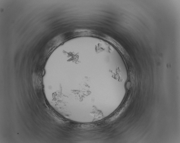 X0000073450857200608251704