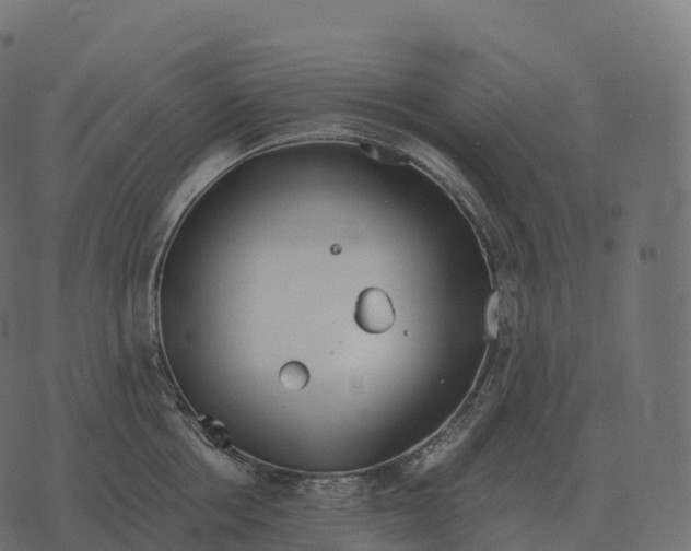 X0000073450858200608251704