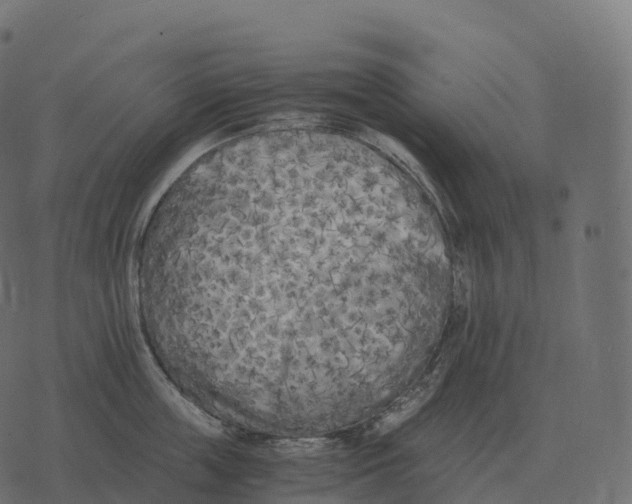 X0000073450859200608251704