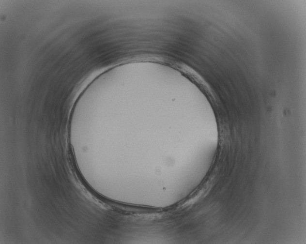 X0000073450860200608251704