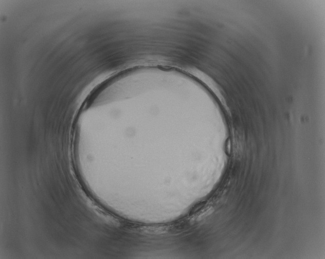 X0000073450861200608251704