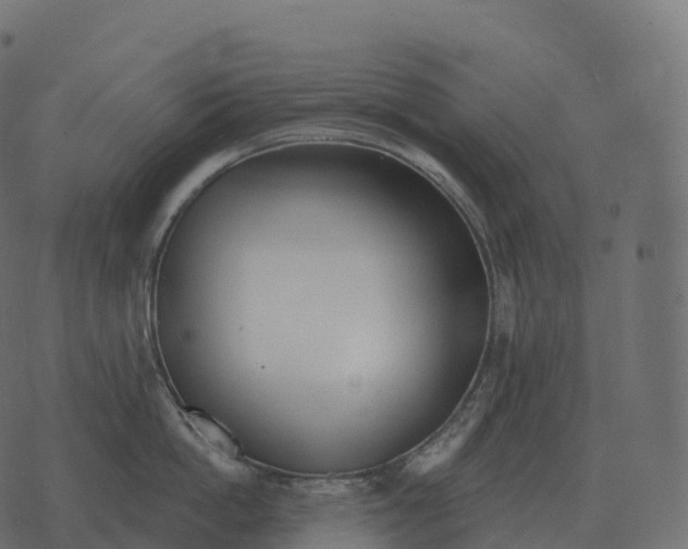 X0000073450862200608251704