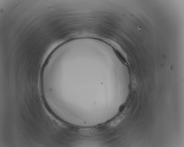 X0000073450863200608251704