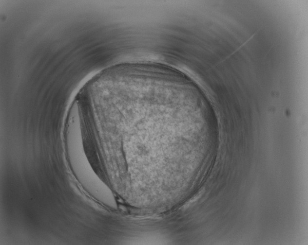 X0000073450864200608251704