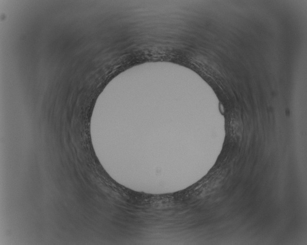 X0000073450865200608251703