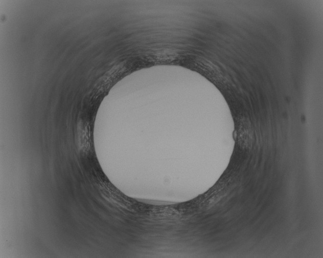 X0000073450866200608251703