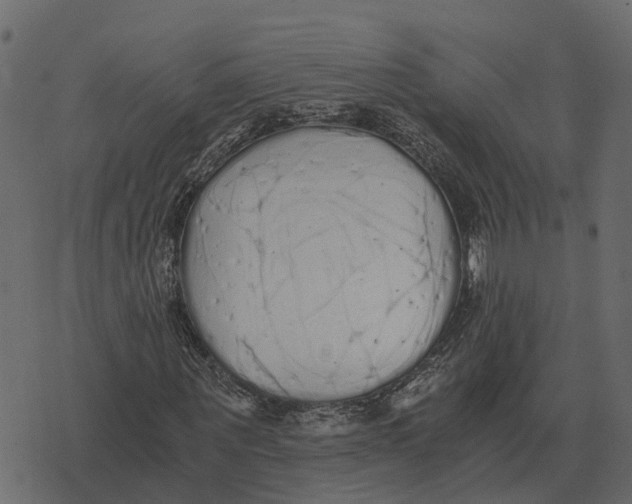 X0000073450867200608251703