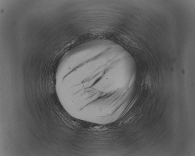 X0000073450868200608251703