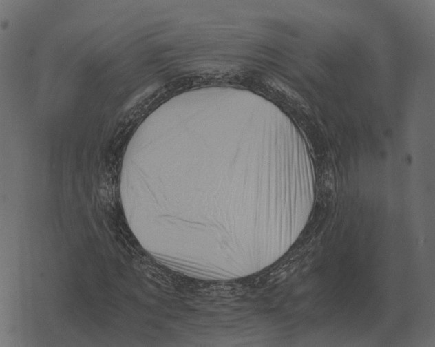 X0000073450869200608251703