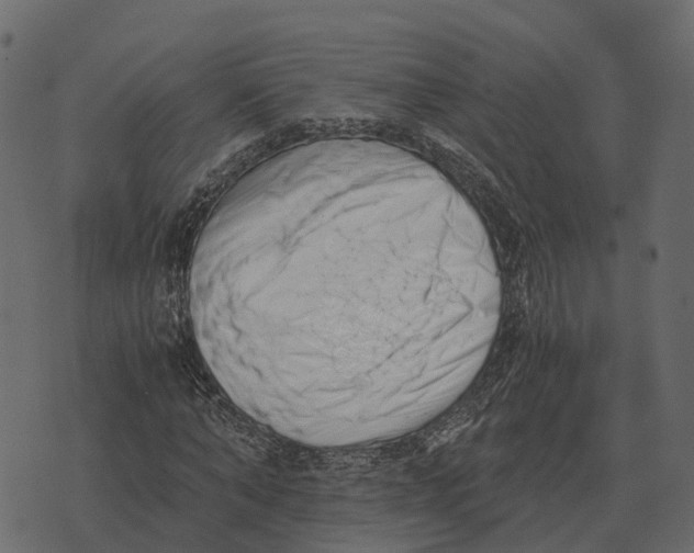 X0000073450870200608251703