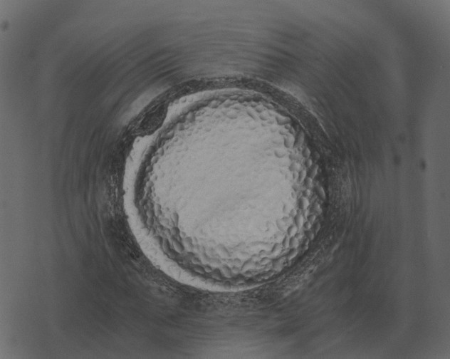 X0000073450871200608251703