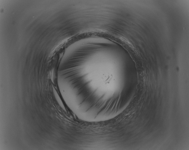 X0000073450872200608251703