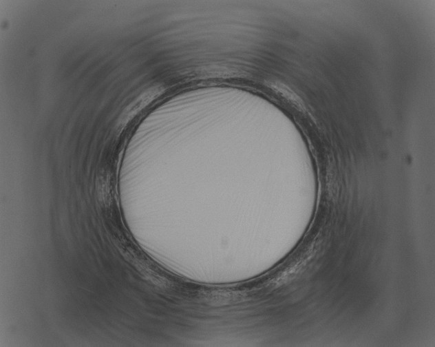 X0000073450873200608251703