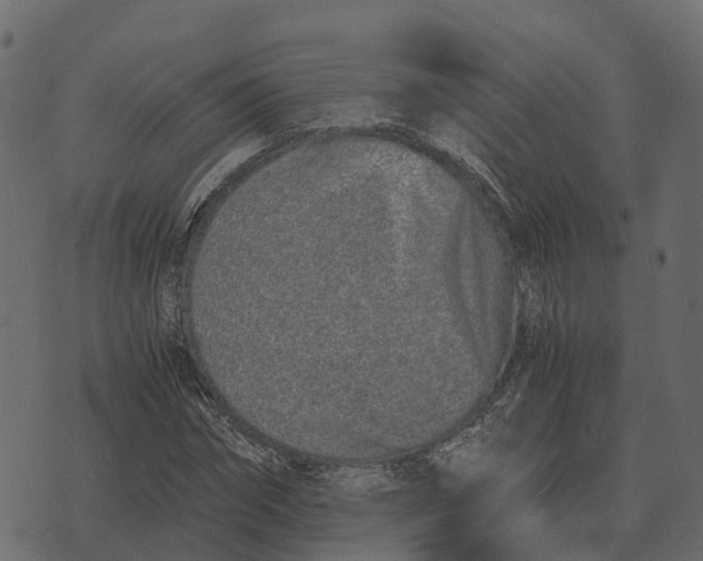 X0000073450874200608251703