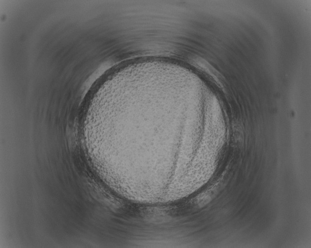 X0000073450875200608251703