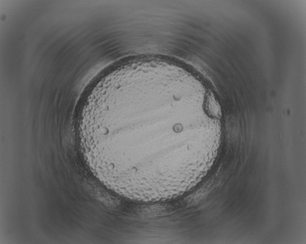 X0000073450879200608251703